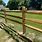 Split Rail Dog Fence