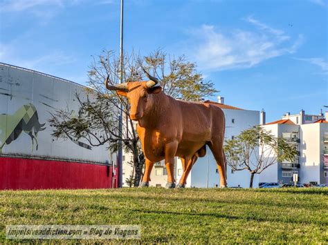 Spot24h Azambuja Azambuja