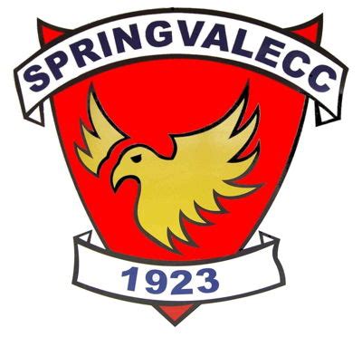 Springvale Cricket Club