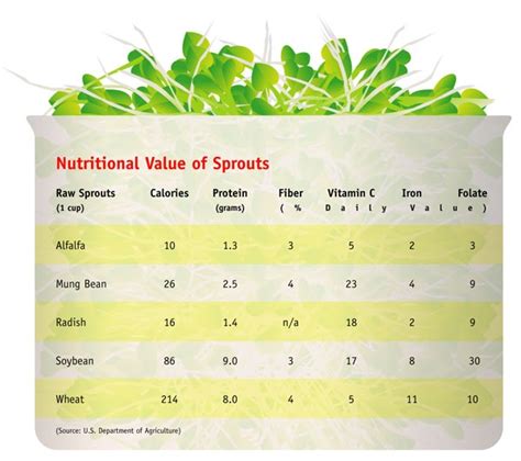 Sprouts Nutritional Value Chart
