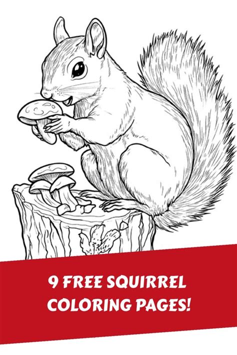Squirrel Coloring Pages Free Printable