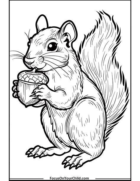 Squirrl Printable
