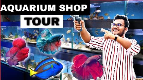 Sri Dinesh Aquarium