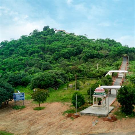 Sri Marutham Farms