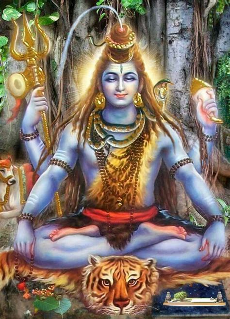 Sri Shiva Sounds & Lightings Power Unit
