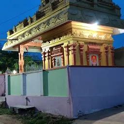 Sri pedda Lakshmi Narasimha coconut Garden