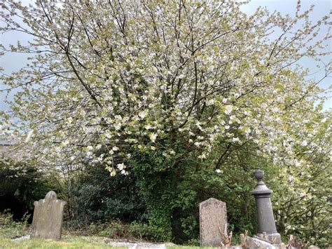 Stainland Methodist Chapelyard