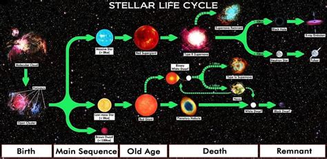 Star Life Cycle Chart