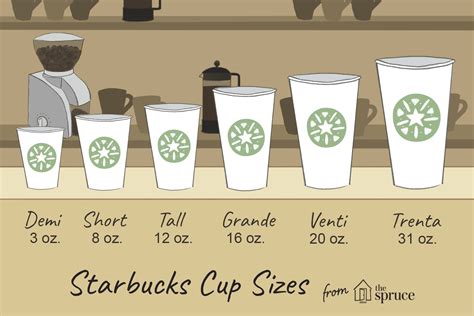 Starbucks Sizing Chart