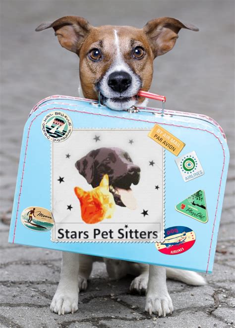 Stars Pet Sitters