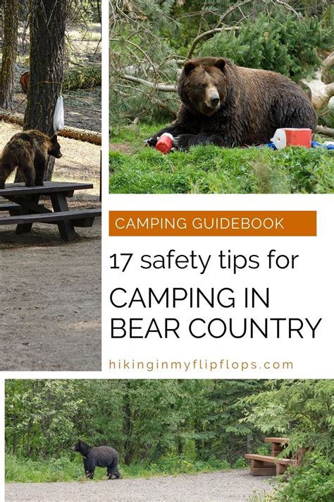 Staying safe from bears when in Japan—tips and advice for hiking and camping!