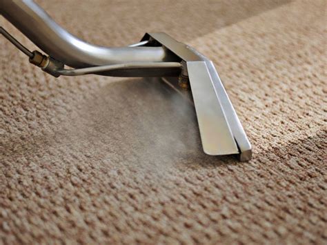 Steam Cleaning Carpet Process