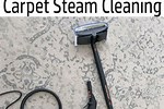 Steam Cleaning Carpets DIY