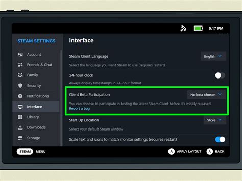 Steam Settings