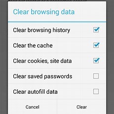 Step 3: Locate Clear Browsing Data Option