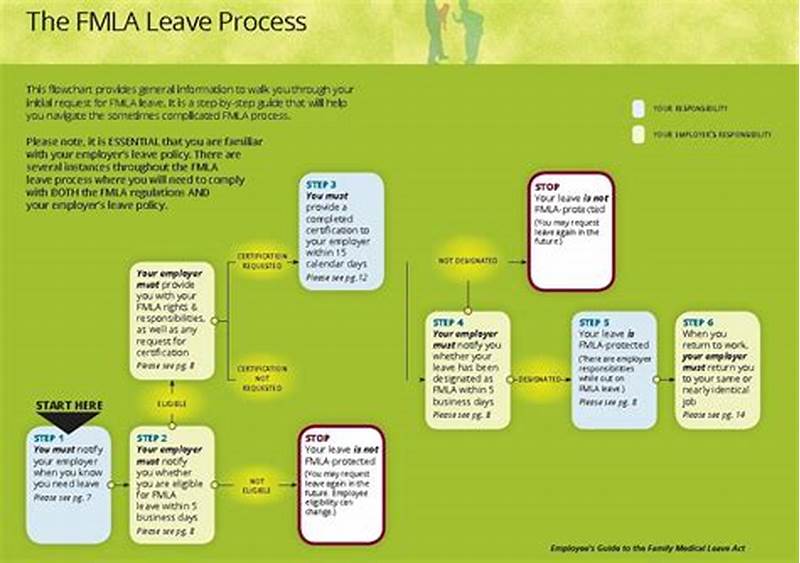Step By Step Fmla Process Flow Chart