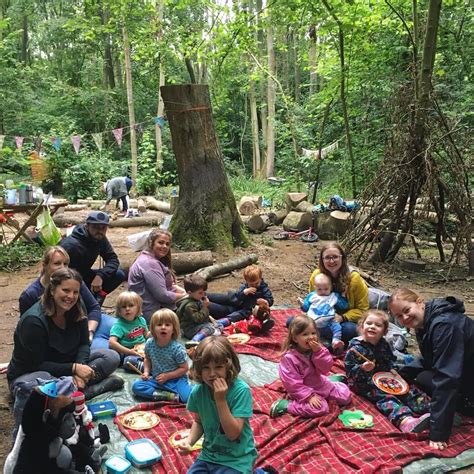 Step-Out Outdoor Learning, Training & Therapy CIC (Forest School)
