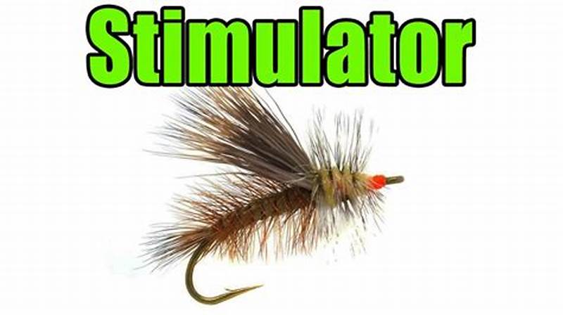 Stimulator Fly Pattern
