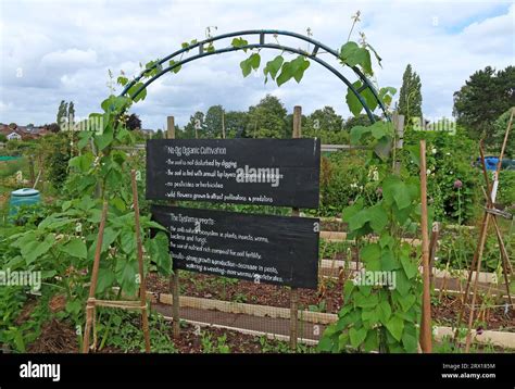 Stockton Heath Allotments