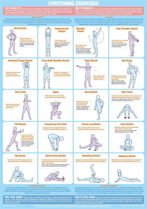 Stretching Exercises Chart