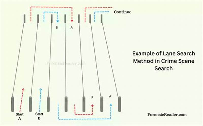Strip Search Pattern