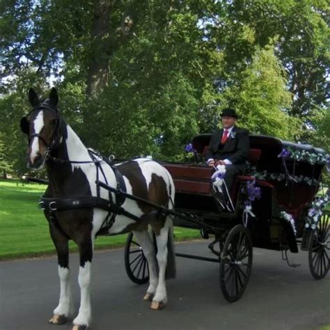 Studlearoyal Horse Drawn Carriage Ltd