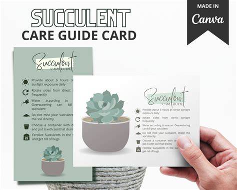Succulent Care Instructions Printable Free