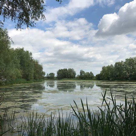 Summer Leys Nature Reserve