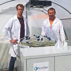 SunOleo à Pertuis