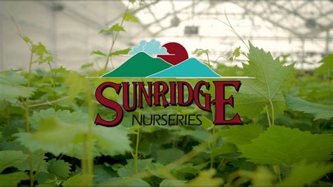 Sunridge Nurseries