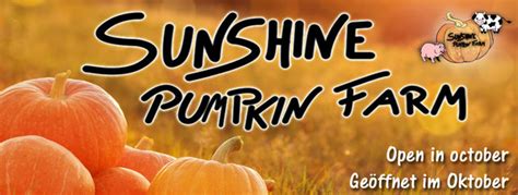 Sunshine Pumpkin Farm