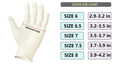 Surgical Gloves Size Chart
