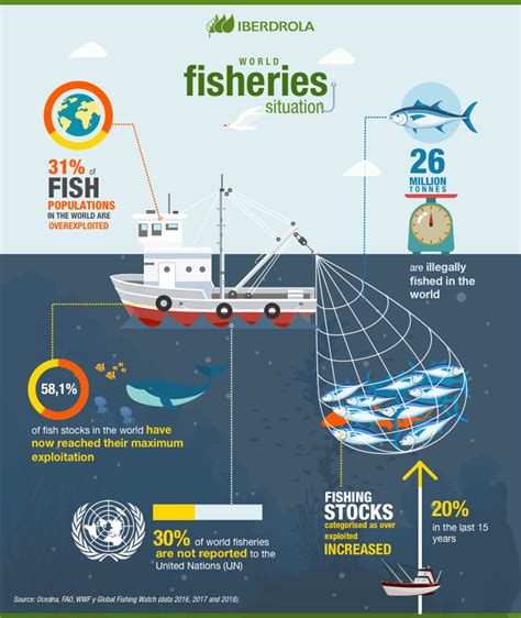 Sustainable fishing methods