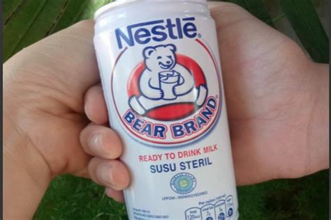 Susu Beruang asli