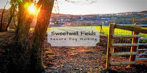 Sweetwell Fields Secure Dog Walking