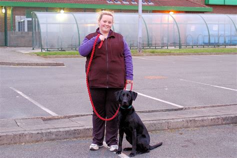 Swinton Dog Training Ltd