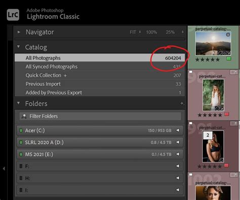 Synced Catalog On Lightroom Not Right One