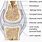 Synovium Anatomy