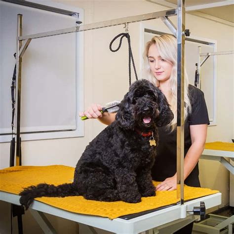 Syston Dog Grooming
