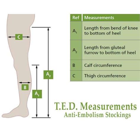 T.e.d Stockings Size Chart