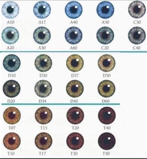 T50 Eye Chart