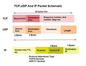 TCP Socket Port