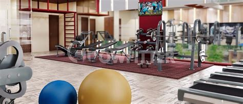 THE FITNESS DEN (GYM)