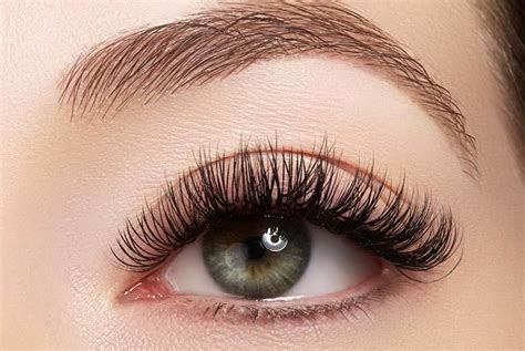 TL Professional - Lashes - Nails - Brows