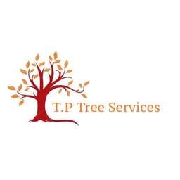 TP TREE SERVICES