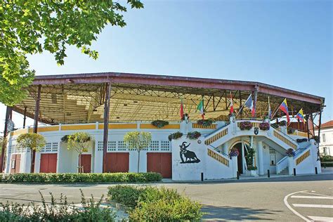TUTUNEL Violeta à Pomarez