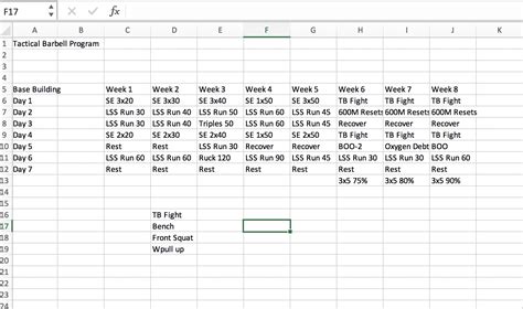 Tactical Barbell Fighter Template
