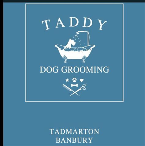 Taddy dog grooming