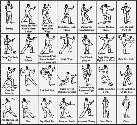 Tai Chi Chart