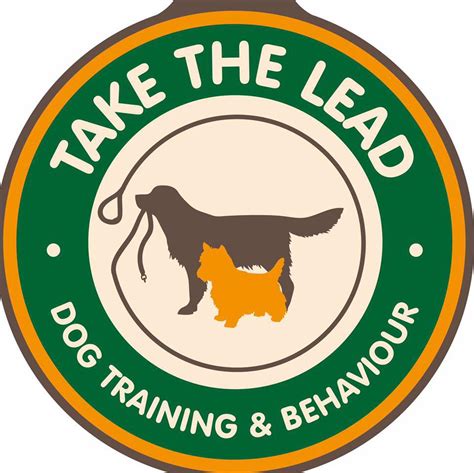 Take the Lead Doggy Day Care